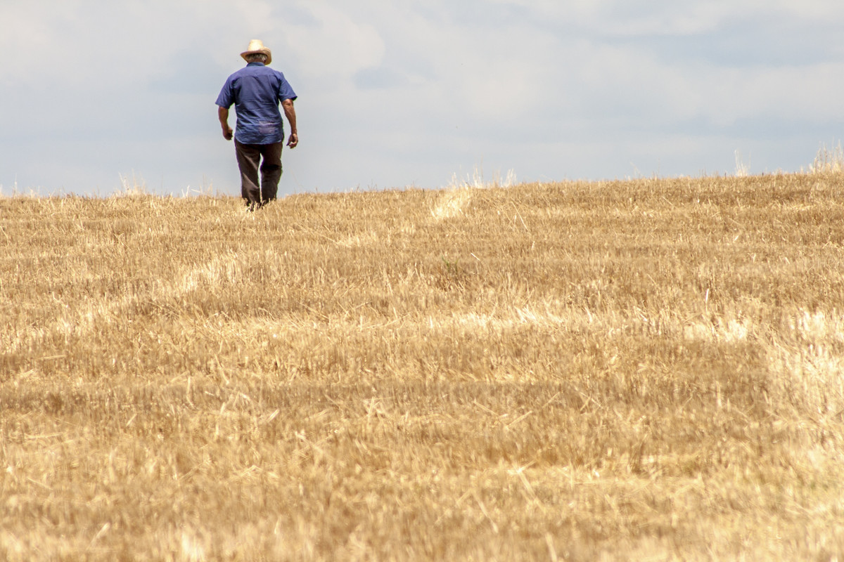 Medium texto no 20dia 20nacional 20da 20agricul